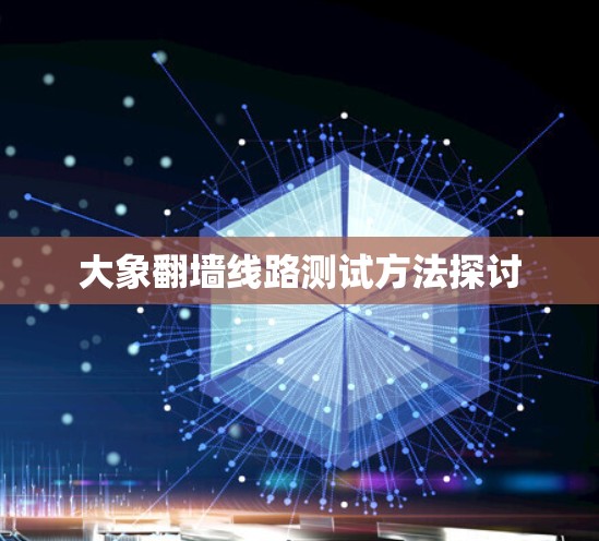 大象翻墙线路测试方法探讨