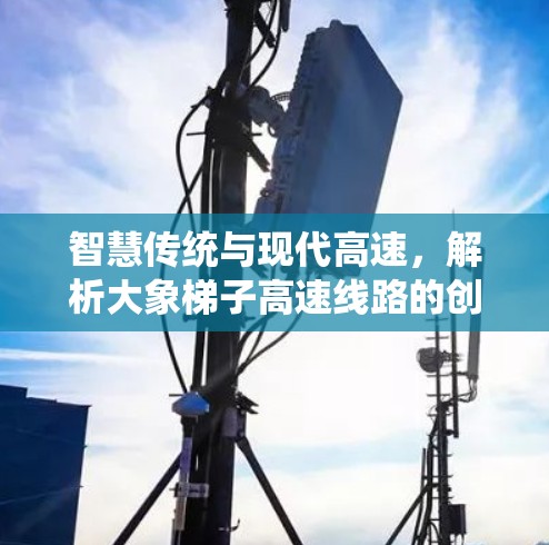 智慧传统与现代高速，解析大象梯子高速线路的创新之道