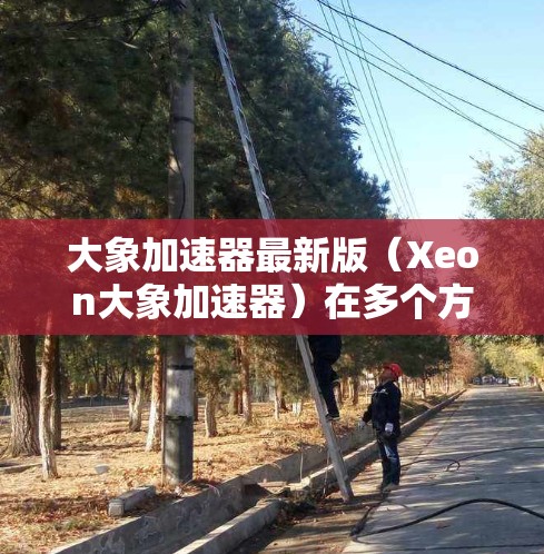 大象加速器最新版（Xeon大象加速器）在多个方面进行了优化和增强，具体改进如下