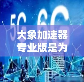 大象加速器专业版是为企业和开发者设计的高级版本，专注于优化内存受限的计算任务，提升性能和效率。其主要优势包括