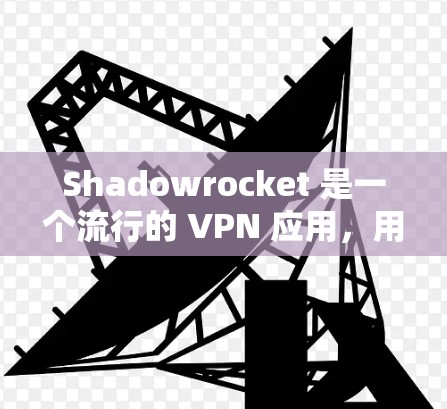 Shadowrocket 是一个流行的 VPN 应用，用户可以通过多种方式下载和安装。以下是几种常见的方法