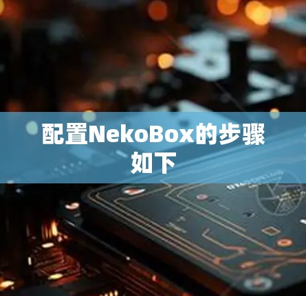 配置NekoBox的步骤如下