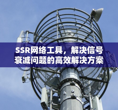 SSR网络工具，解决信号衰减问题的高效解决方案