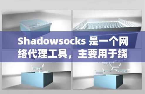 Shadowsocks 是一个网络代理工具，主要用于绕过网络限制，保护隐私。订阅 Shadowsocks 意味着你已经购买了相关服务，可以通过以下步骤将订阅导入到你的设备中