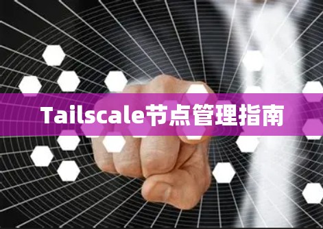 Tailscale节点管理指南