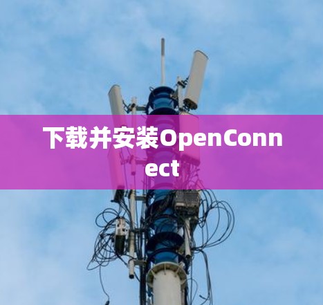 下载并安装OpenConnect